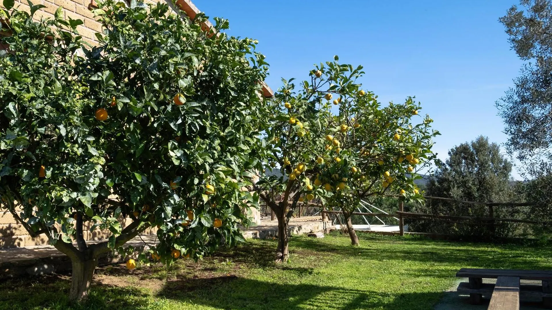 Farm stay La Svolta - Aria Villa Manciano Italy